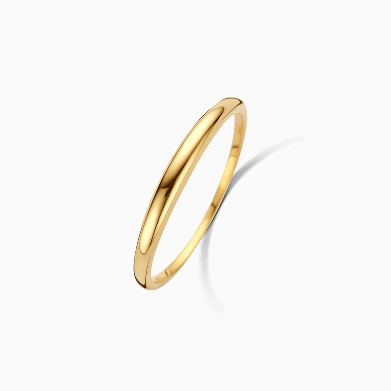 Anillo Domo Delgado | Golden (1/6)